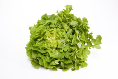 taze geen salata