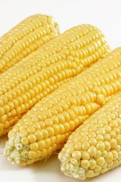 Coltivazione di mais — Foto Stock