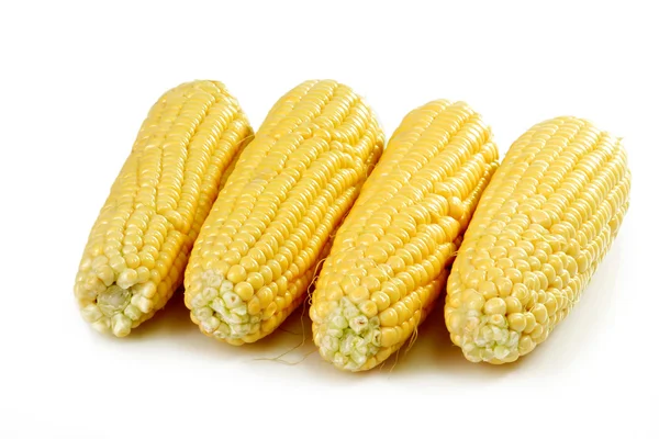Quatre cultures de maïs — Photo