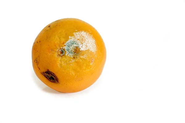 かびの生えた果物 — ストック写真