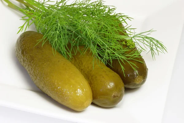 stock image Pickle and dill herbs