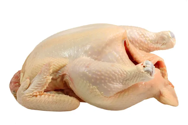 Raw poultry — Stock Photo, Image