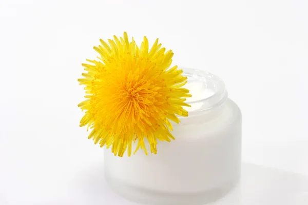 タンポポの花とクリーム — ストック写真