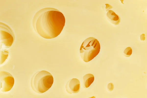 Cheese texture — Stockfoto