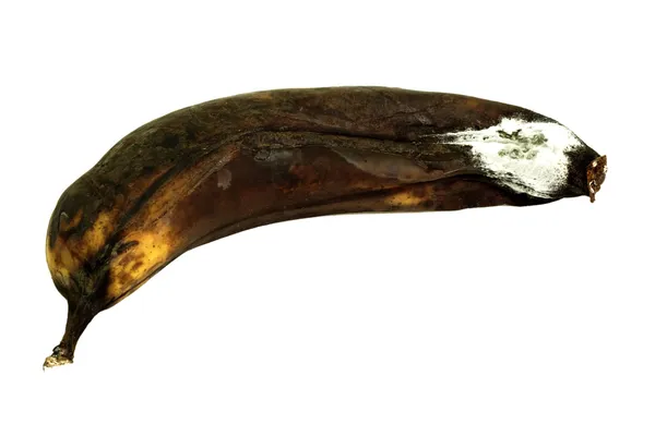 Μουχλιασμένα μπανάνα — Φωτογραφία Αρχείου