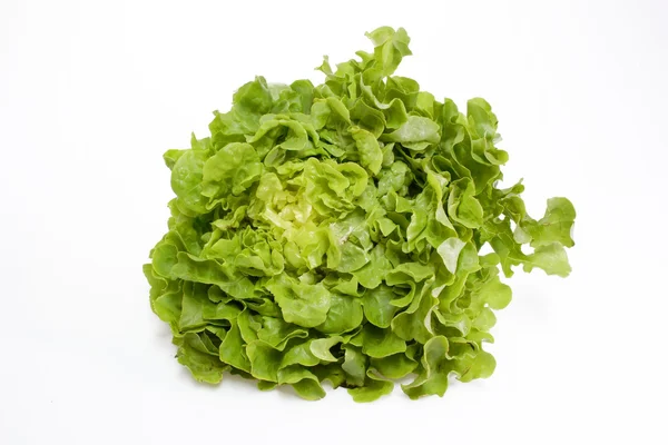 新鲜绿色沙拉 — 图库照片