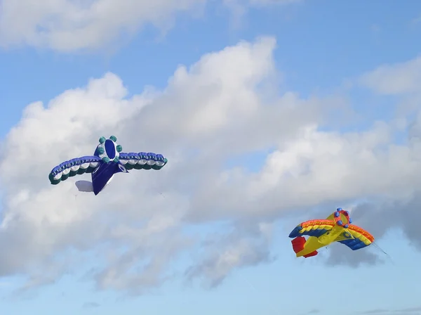 Stunt kites — Stock Photo, Image