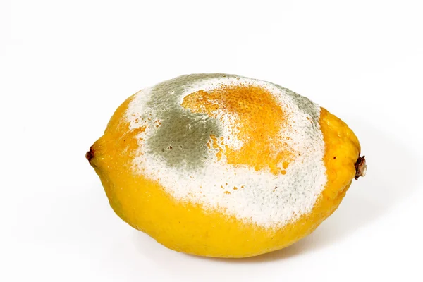 Gegoten citroen — Stockfoto