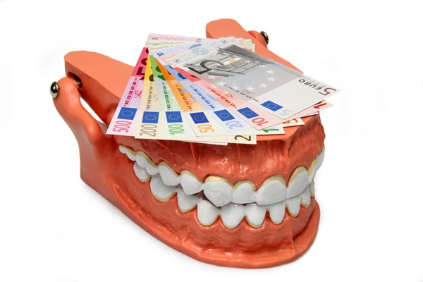 Модель зубов — стоковое фото