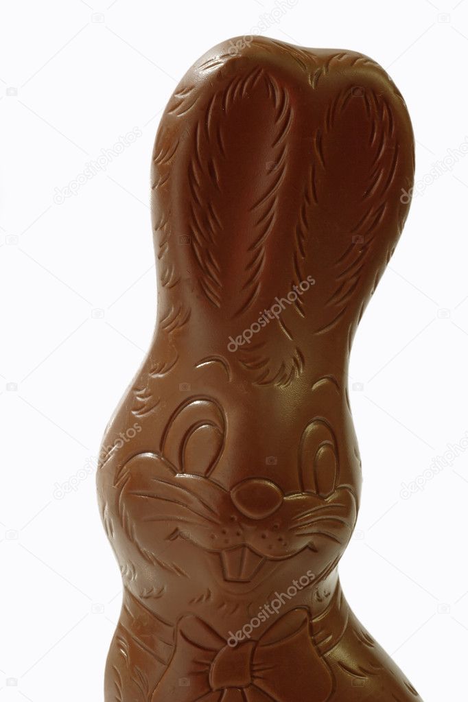 Chocolate easter bunny