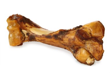 Dog bone clipart