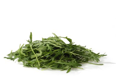 Rucola