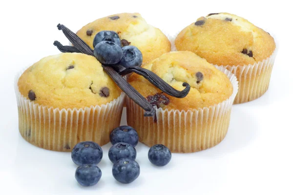 Muffins de mirtilo — Fotografia de Stock