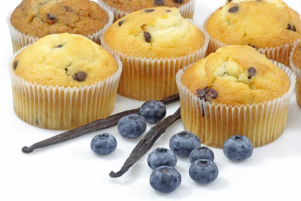 Muffins de arándanos — Foto de Stock
