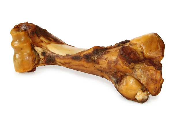 Собака кісток — стокове фото