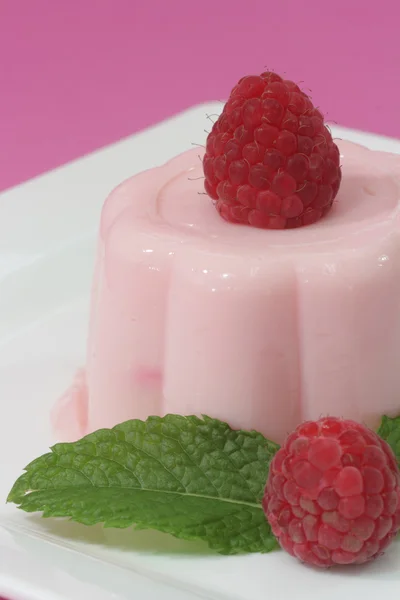 Raspberry pudding — Stock Photo, Image
