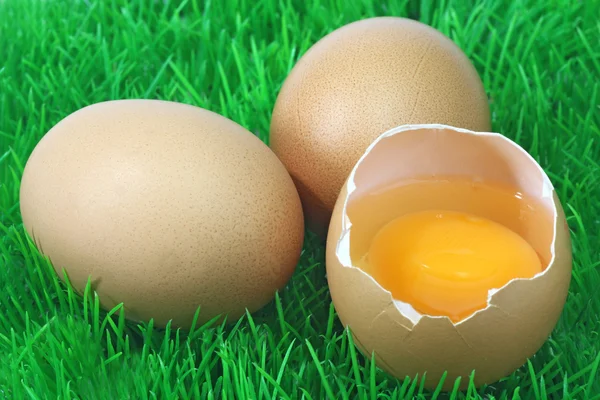 Huevos pardos decorativos — Foto de Stock