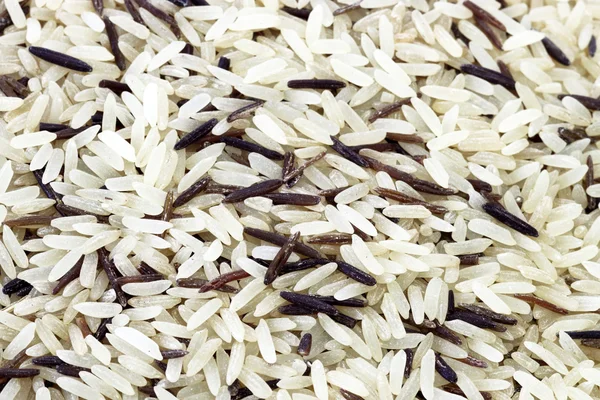 stock image Wild rice