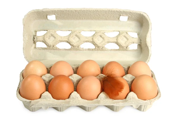 Fresh Eggs — Stock Photo, Image