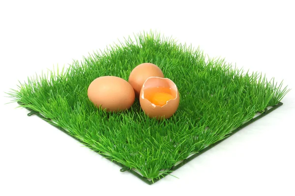 装飾的な茶色の卵 — ストック写真