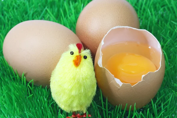 Decorative brown eggs — Stock Photo, Image
