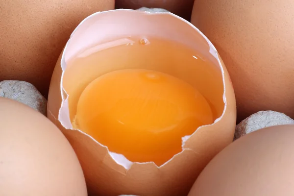 新鲜的鸡蛋 — 图库照片