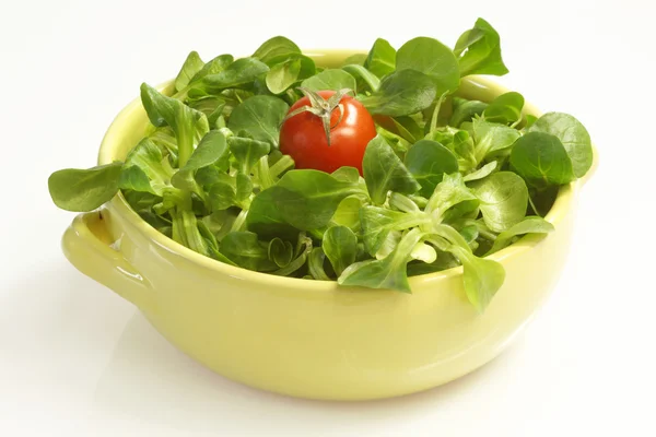 Salade de champ — Photo