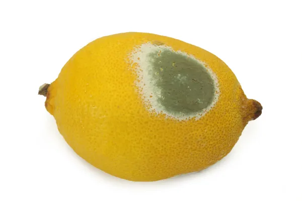 发霉的柠檬 — 图库照片