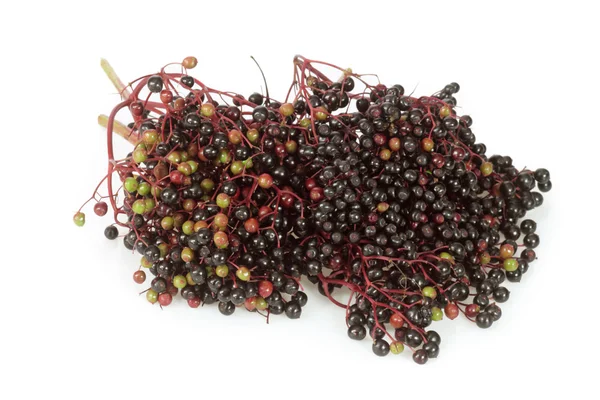 Elderberries — Stock Photo, Image