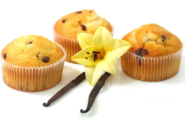 Vanilla muffins — Stock Photo, Image