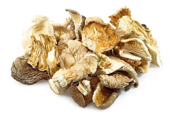 Азиатские грибы — стоковое фото