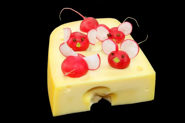 설탕을 입힌 치즈 — 스톡 사진