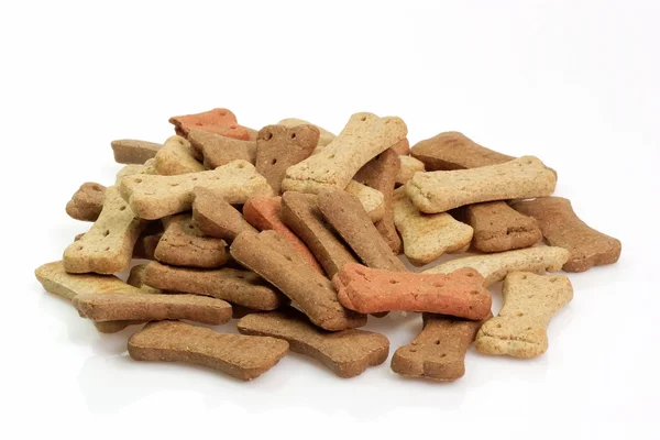 Comida de cão seco — Fotografia de Stock
