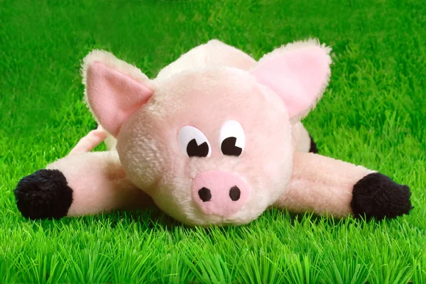 Różowa świnka — Zdjęcie stockowe