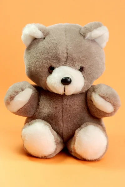 Teddy — Stock fotografie