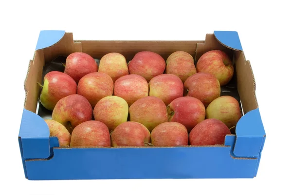 Fresh apples_2 — Stock Photo, Image