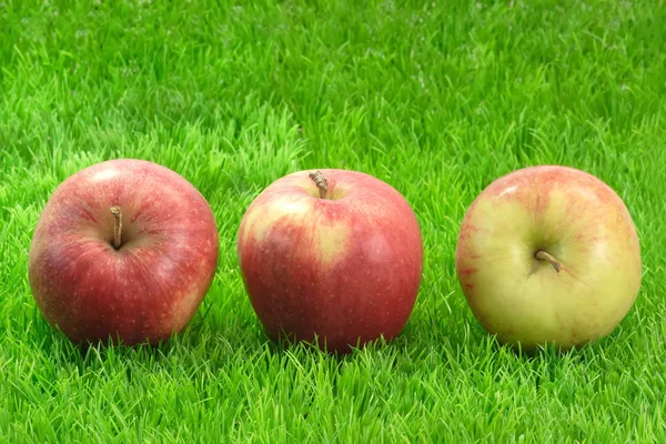 Три яблука — стокове фото