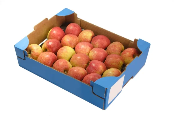 Fresh apples_1 — Stock Photo, Image