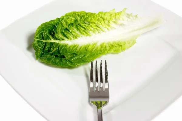 Foglia d'insalata — Foto Stock
