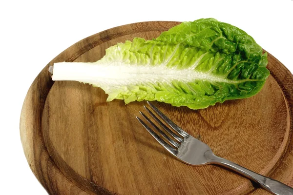 Blad van salade — Stockfoto