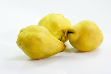 Quinces clipart