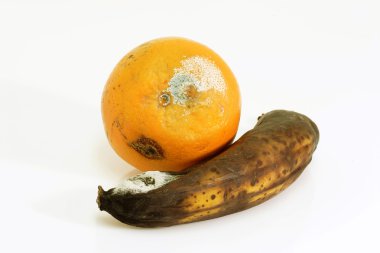 Contaminated fruits clipart