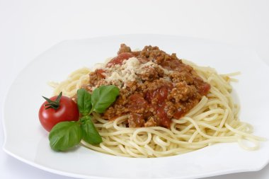 Bolognese 4 clipart