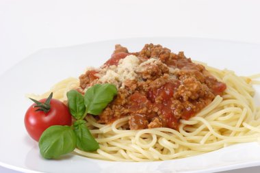 Bolognese 7 clipart