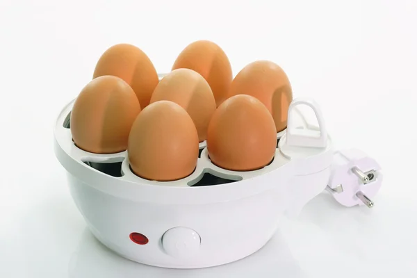 Vajíčko kotel — Stock fotografie