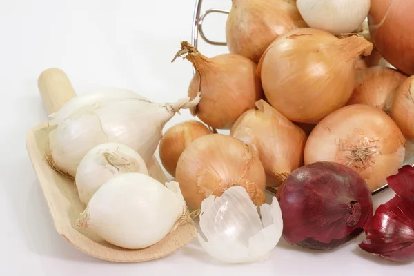 Onion Sorts — Stock Photo, Image