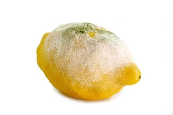 Zitrone schlecht geworden — Stockfoto