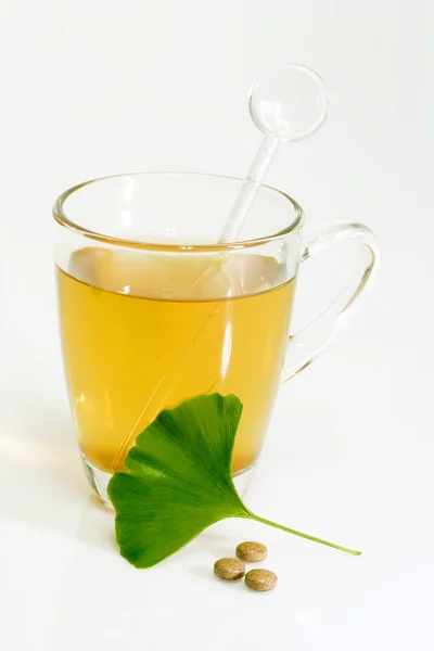 stock image Gingkotea