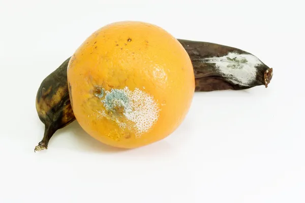 Гнилые фрукты — стоковое фото