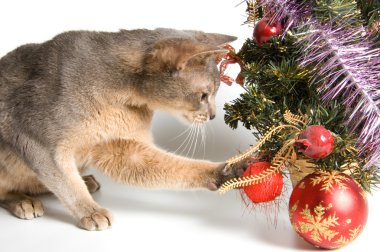 Cat with Christmas-tree decorations clipart